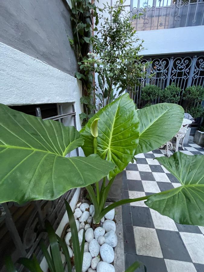 부에노스아이레스 Le Petit Palais B&B 외부 사진