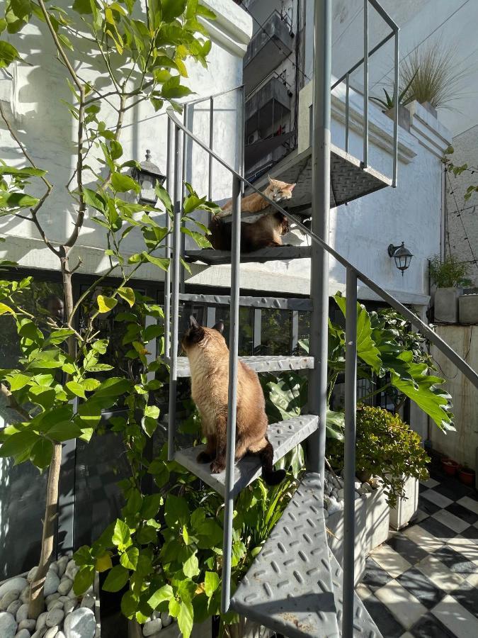 부에노스아이레스 Le Petit Palais B&B 외부 사진