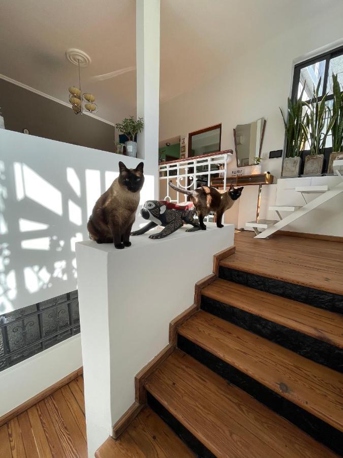 부에노스아이레스 Le Petit Palais B&B 외부 사진